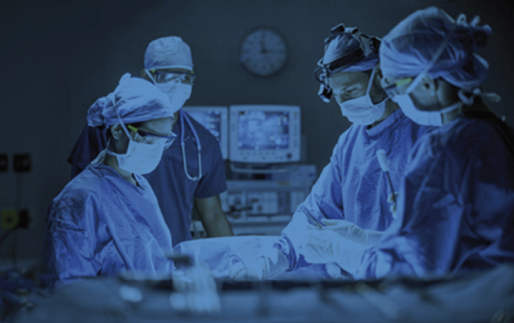 © AdobeStock/BerkahStock